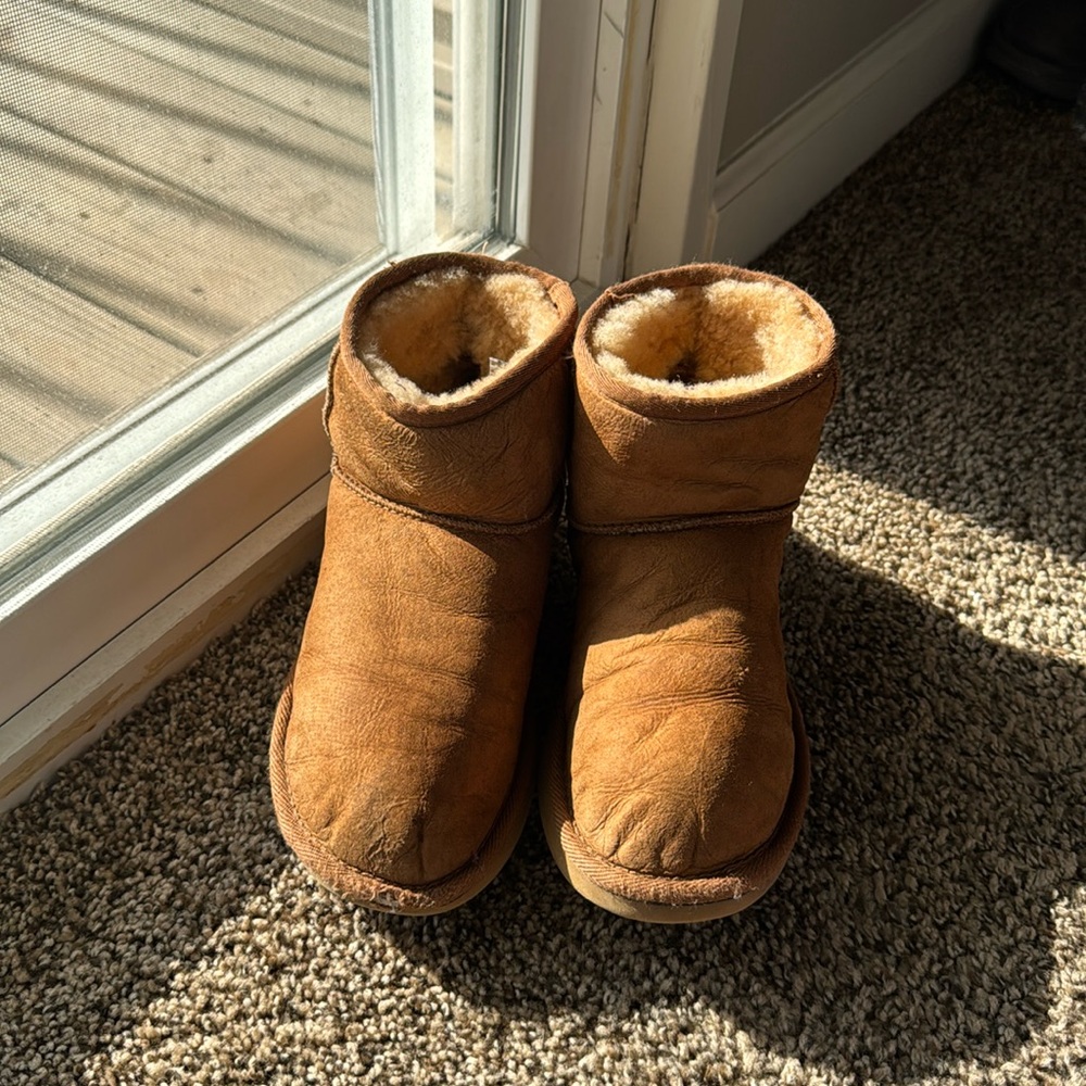 Short chestnut UGGs